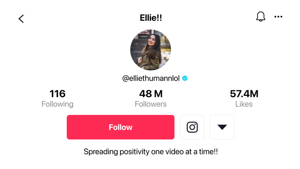TikTok Bio