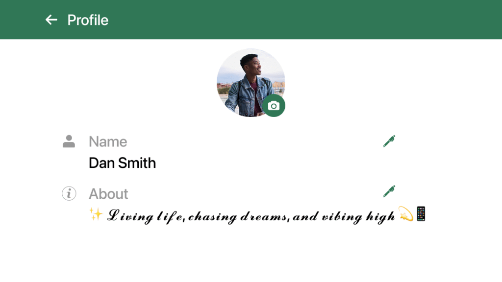 Whatsapp Bio