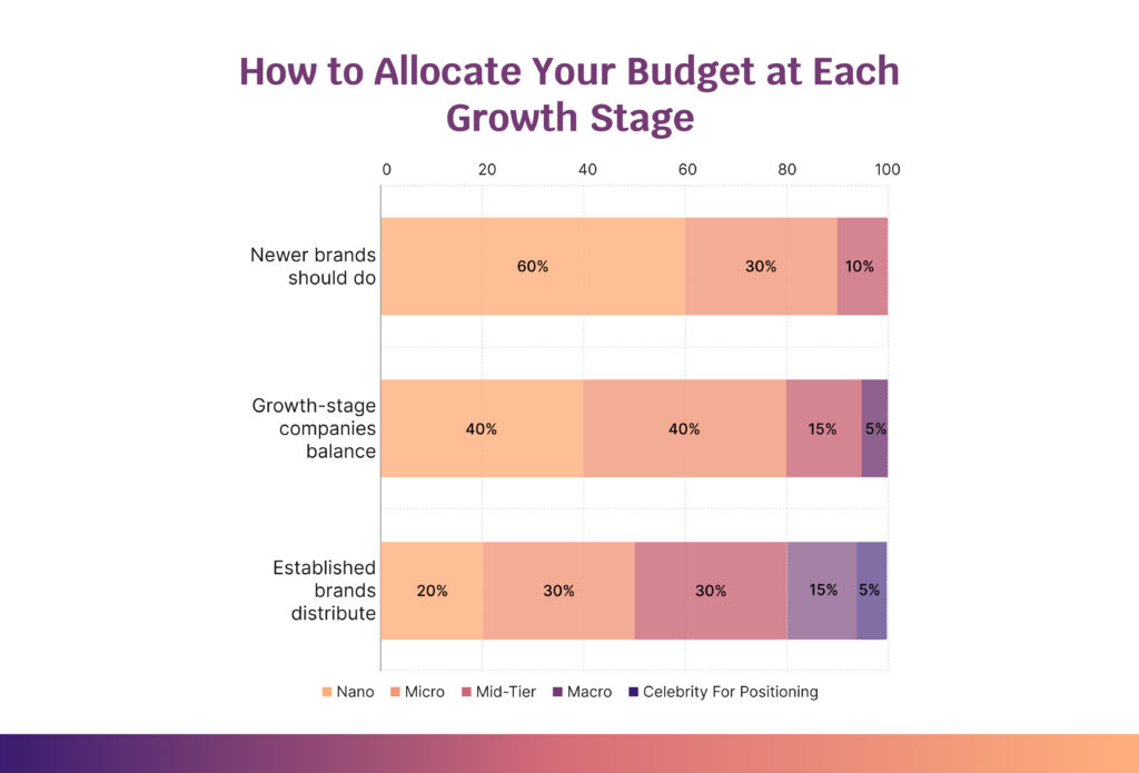 Budget Allocation for Influencer Marketing